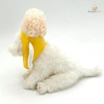 Accessoire amusant pour chien ou chat, chope de bière